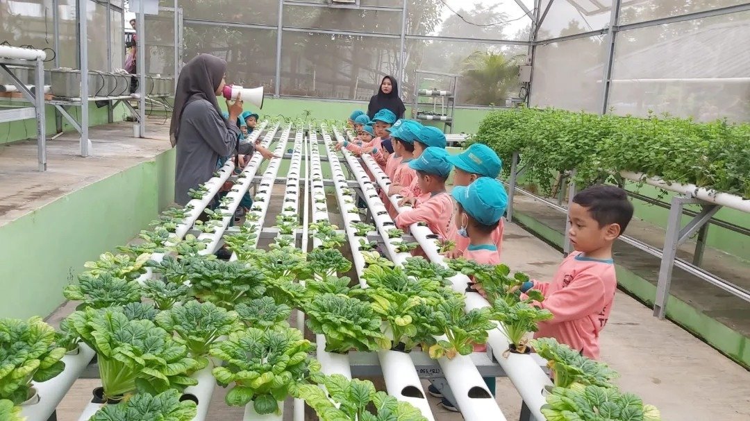 Kebun Hidroponik